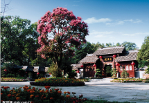 会议旅游专线