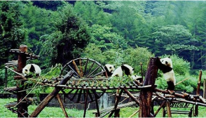 四姑娘山专线