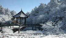 峨眉山.乐山旅游专线