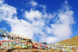 （西藏环游记)单卧单飞拉萨.羊湖.林芝高端品质9日游