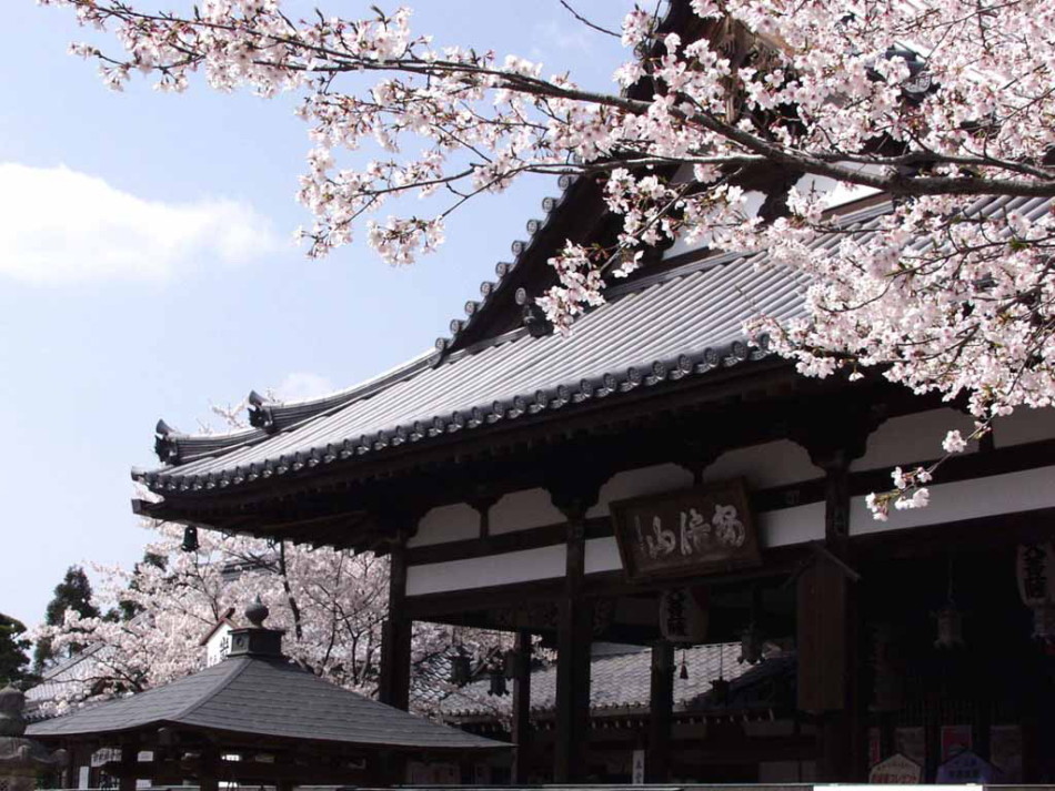 日本全景深度双古都（京都+奈良）7日游