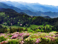 天台山、平乐古镇二日游(纯玩)