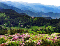 天台山、平乐古镇二日游（纯玩）