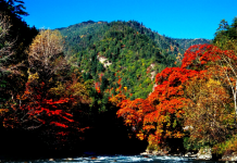 鹧鸪山懒人错峰 纯玩二日游(品质)