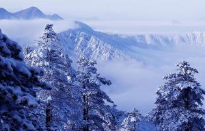 西岭雪山一日游